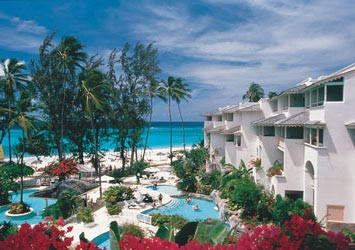 #11 Bougainvillea Barbados