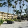 Coral Costa Caribe