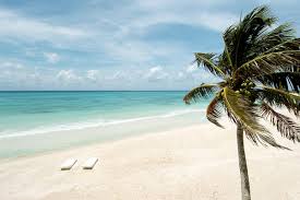 bahia senior singles Enjoy over 50s cruises, holidays in the uk and abroad with saga travel browse through our numerous holiday packages and travel services. bahia senior singles Enjoy over 50s cruises, holidays in the uk and abroad with saga travel browse through our numerous holiday packages and travel services.