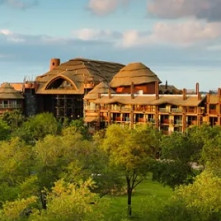 Disneys Animal Kingdom Lodge - Orlando (Walt Disney World)